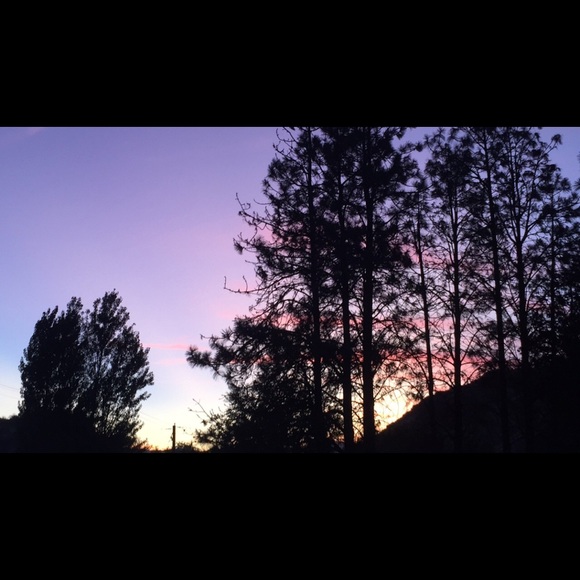 Meet your Posher, Taylor - Picture 1 of 1